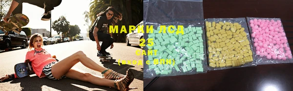 ПСИЛОЦИБИНОВЫЕ ГРИБЫ Магас