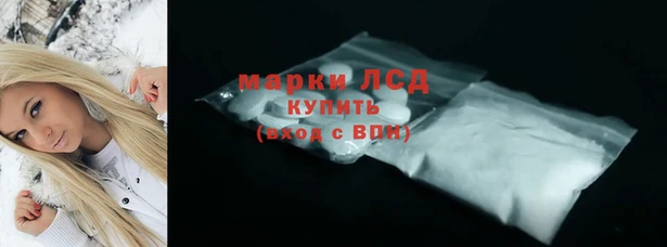 ПСИЛОЦИБИНОВЫЕ ГРИБЫ Магас
