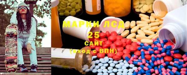 ПСИЛОЦИБИНОВЫЕ ГРИБЫ Магас
