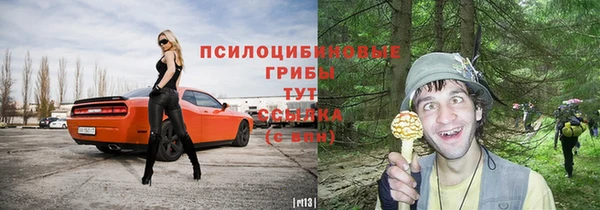 MESCALINE Майский