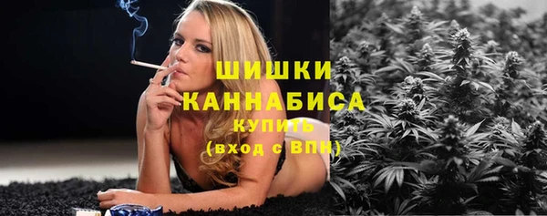 ПСИЛОЦИБИНОВЫЕ ГРИБЫ Магас