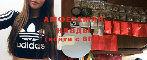 ПСИЛОЦИБИНОВЫЕ ГРИБЫ Магас