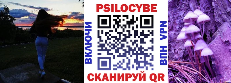цена наркотик Мамадыш Псилоцибиновые грибы GOLDEN TEACHER